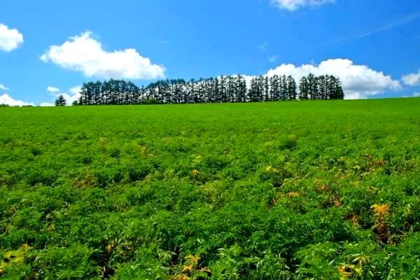 中国游戏衍生服务市场蓬勃发展，价格亲民助力文化繁荣